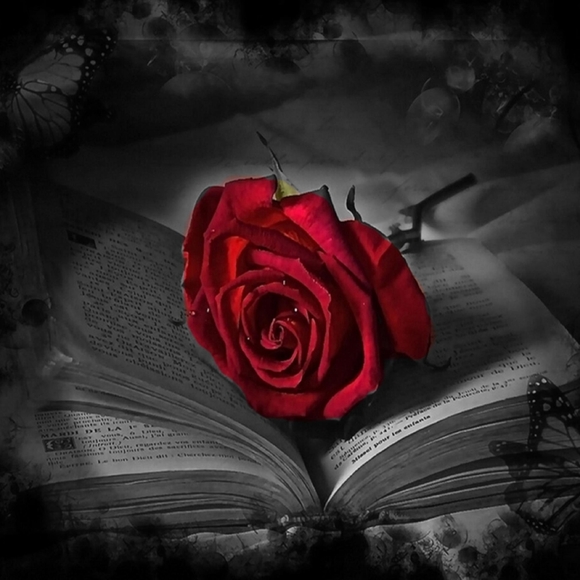 Meet your Posher, Jennifer - Picture 1 of 1